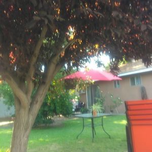 Meet your Posher, Alejandro